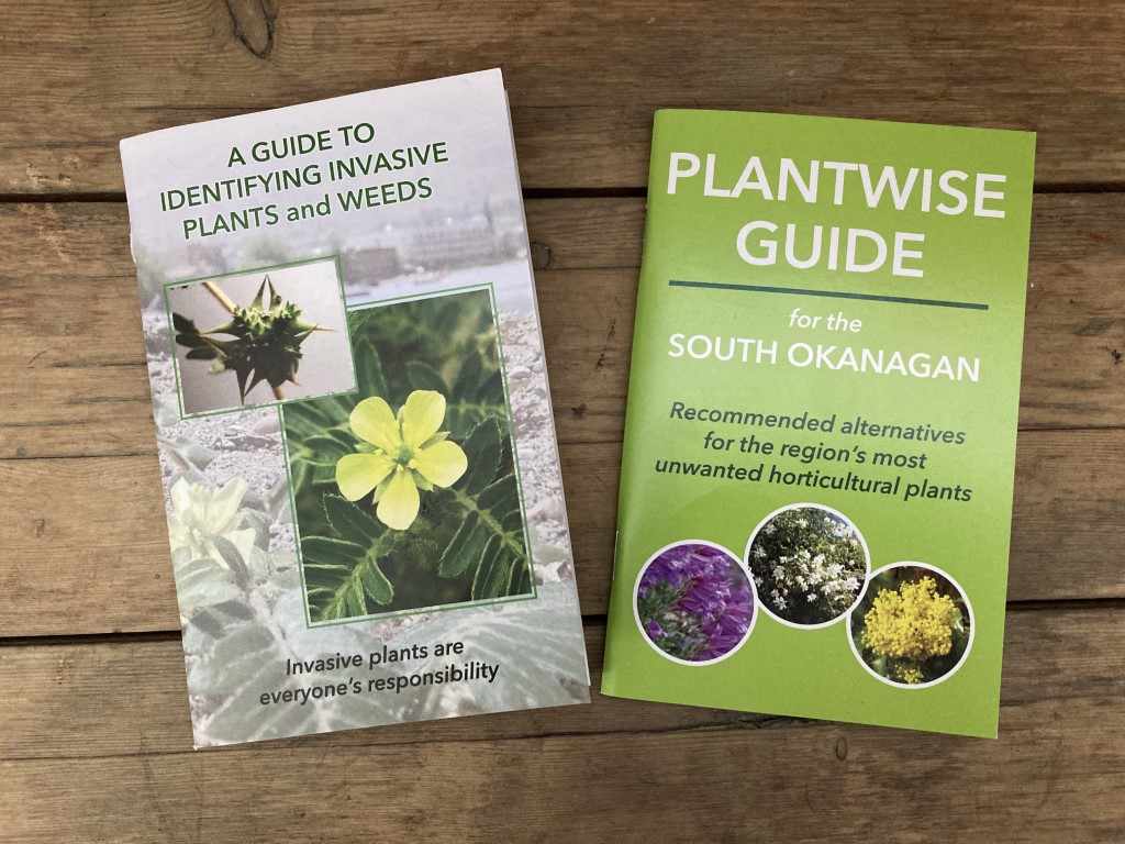 2 Field Guides for Invasive Species Awareness.